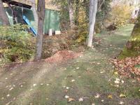 IMG_20221023_140152 (800x600).jpg